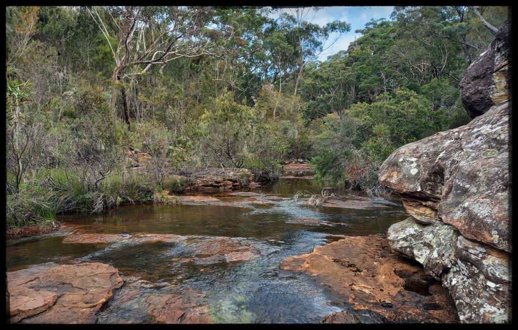 An Image of Minerva pond in the Dharawal National Park near Campbeltown New South Wales.